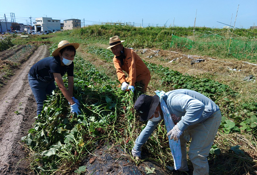 ステップあっぷ西江井島の作業風景